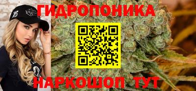 молекула духа Дмитров