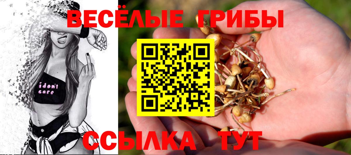 Псилоцибиновые грибы мухоморы  Вход с VPN  Старая Купавна  Псилоцибиновые грибы MAGIC MUSHROOMS 
