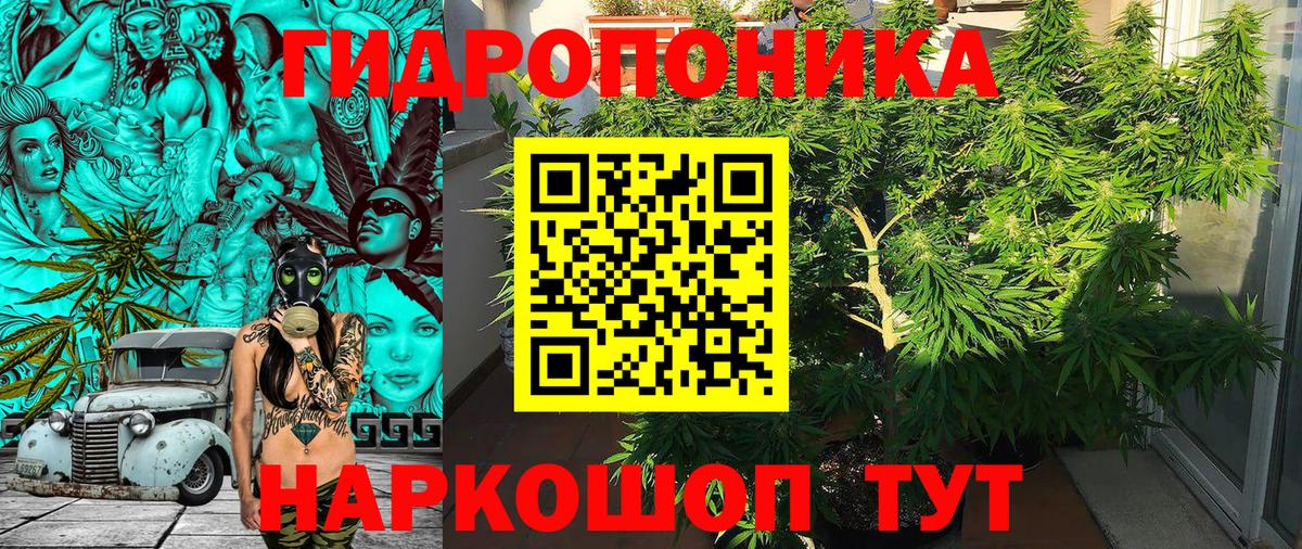 Каннабис план Старая Купавна